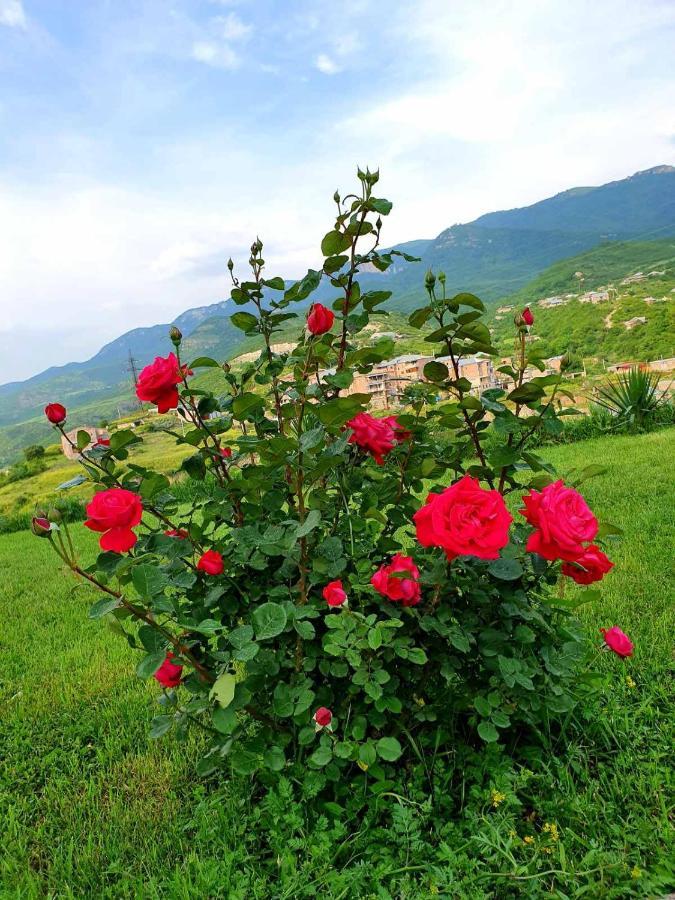 Guest House Ijevan'S Garden Kültér fotó