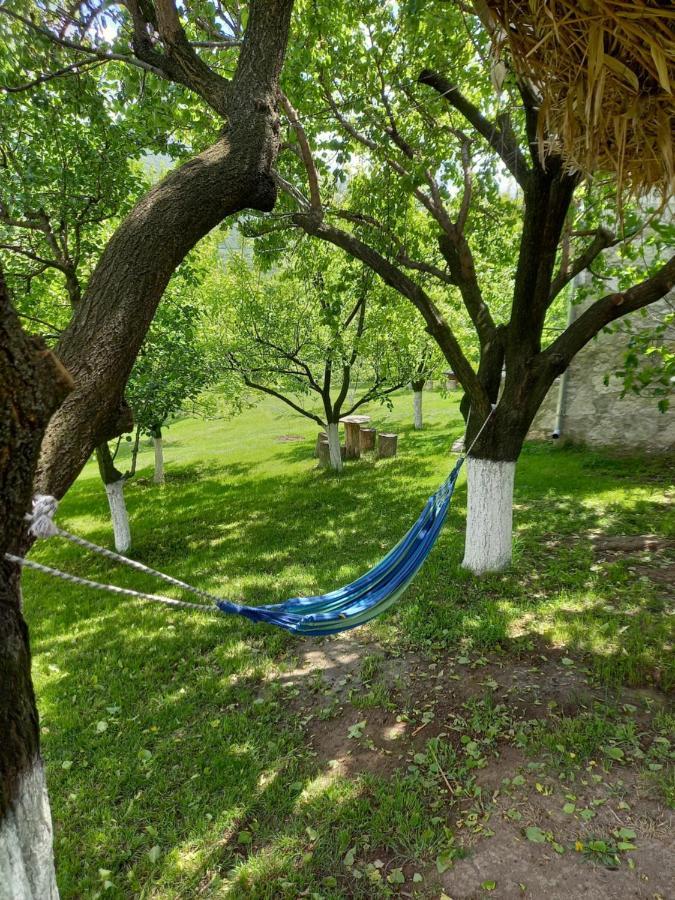 Guest House Ijevan'S Garden Kültér fotó