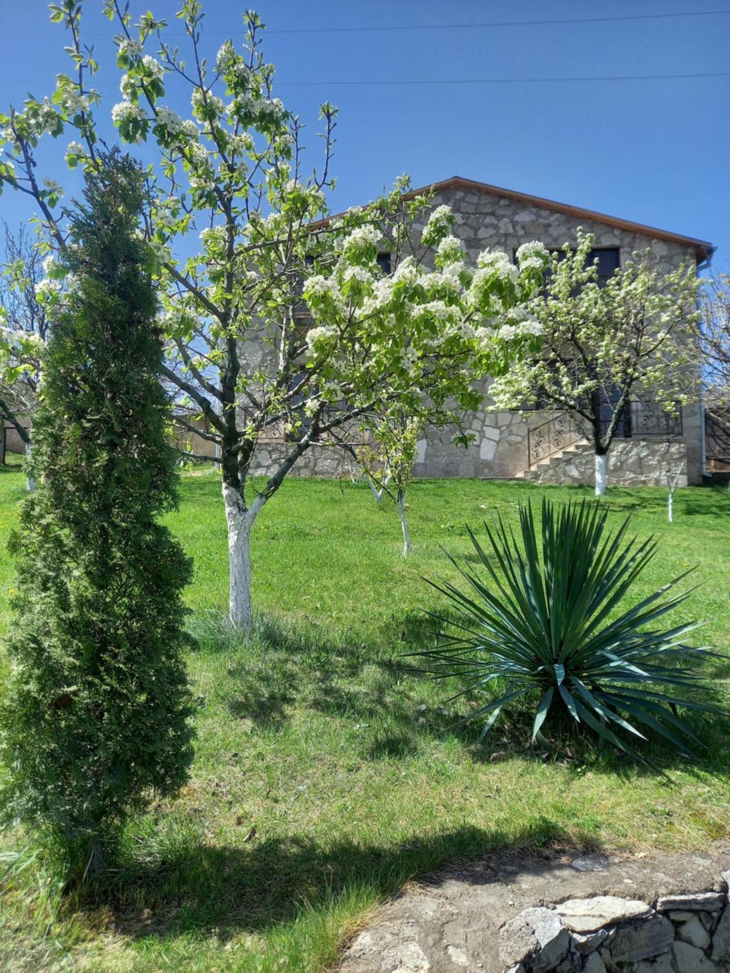 Guest House Ijevan'S Garden Kültér fotó
