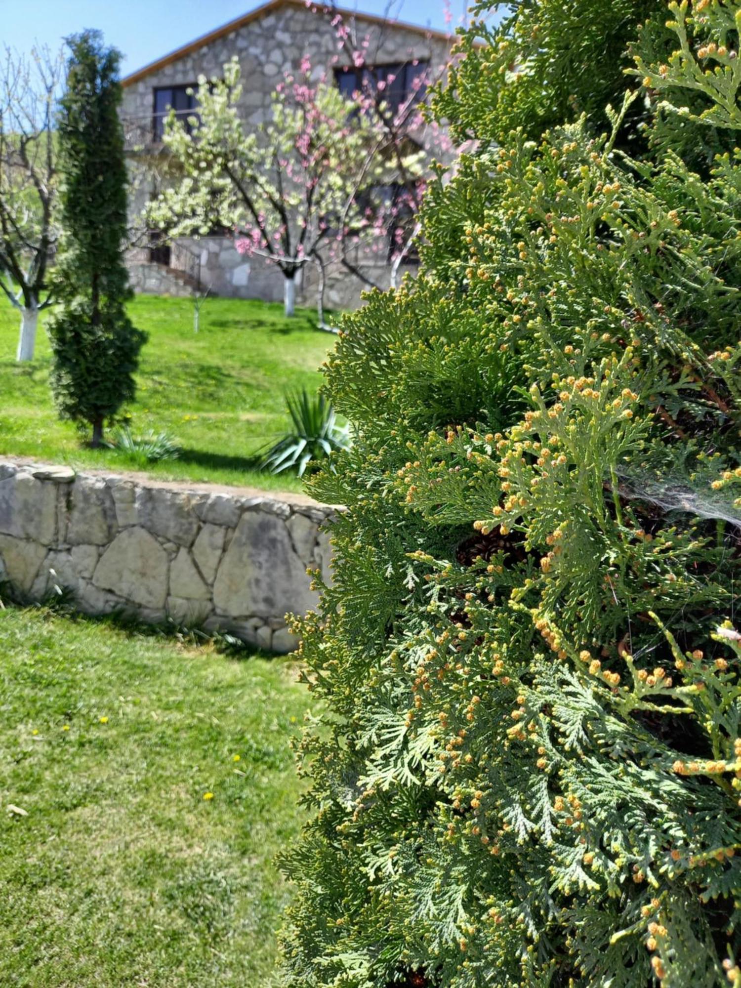 Guest House Ijevan'S Garden Kültér fotó