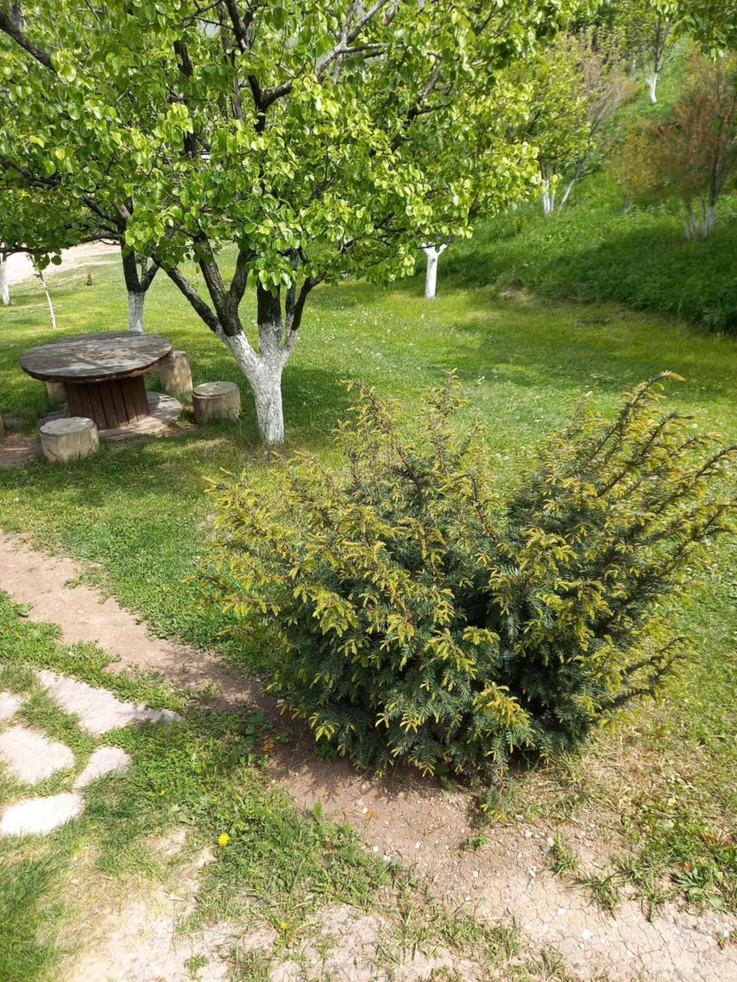 Guest House Ijevan'S Garden Kültér fotó