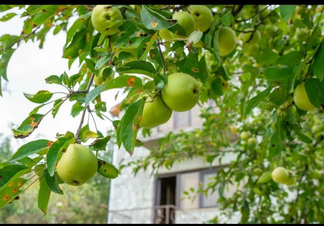 Guest House Ijevan'S Garden Kültér fotó