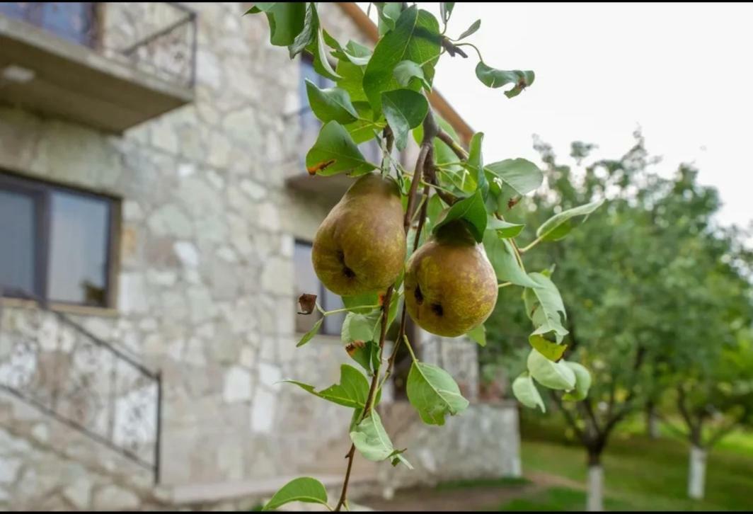 Guest House Ijevan'S Garden Kültér fotó